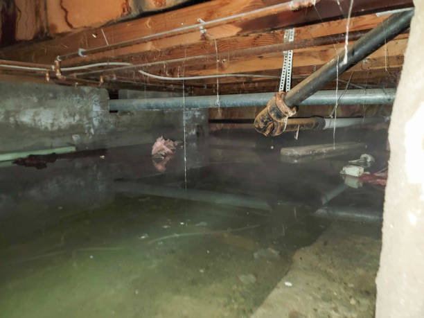 Best 24/7 water damage repair  in Wakefield, MI