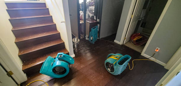Best Emergency water damage restoration  in Wakefield, MI
