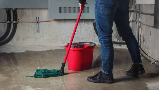 Best 24/7 water damage repair  in Wakefield, MI