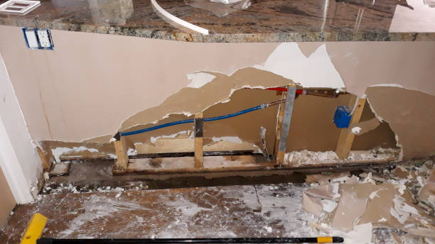 Best Water damage mitigation services  in Wakefield, MI