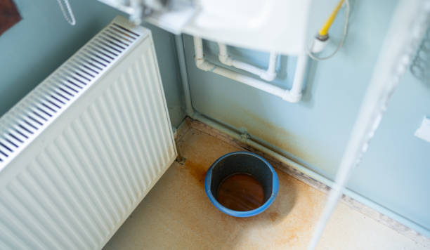 Best Mold removal after water damage  in Wakefield, MI
